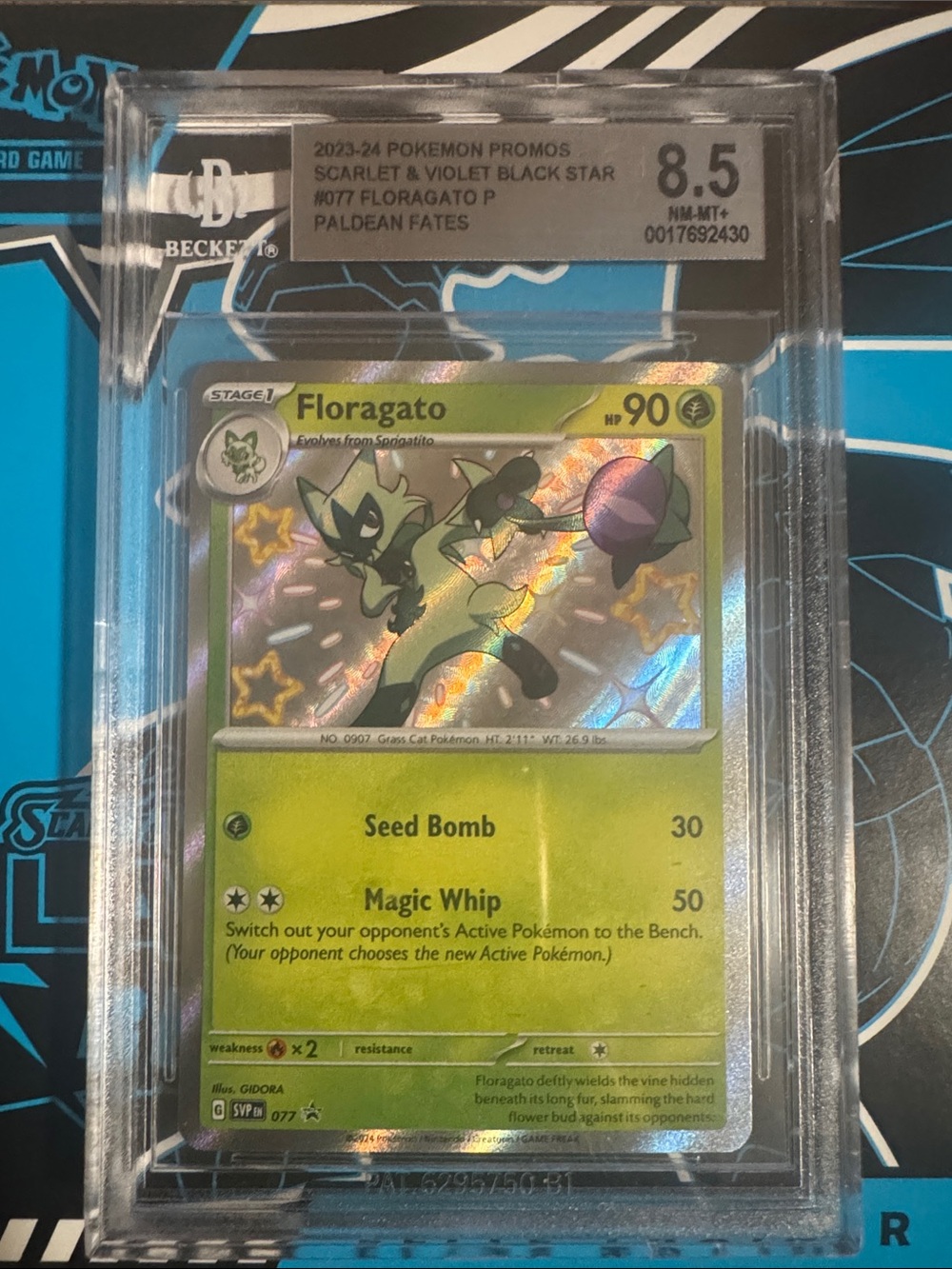 Beckett 8.5 Graded Pokemon Baby Shiny Floragato 077 Promo Card (Rev.Holographic)